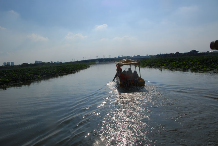 Ϧ�������ӭ�������ϰ�